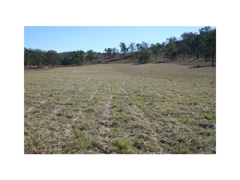 Tansey QLD 4601