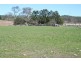 Tansey QLD 4601