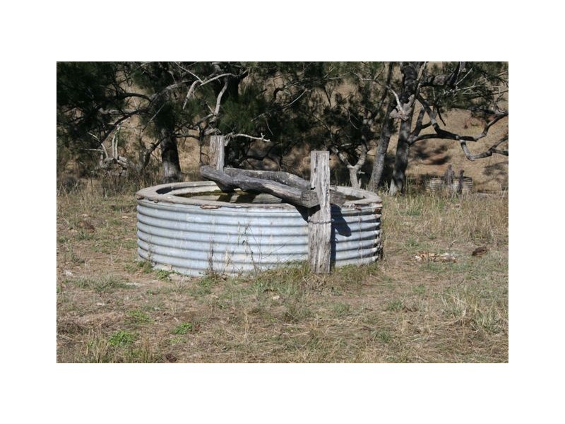 Tansey QLD 4601