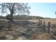 Tansey QLD 4601