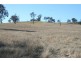 Tansey QLD 4601