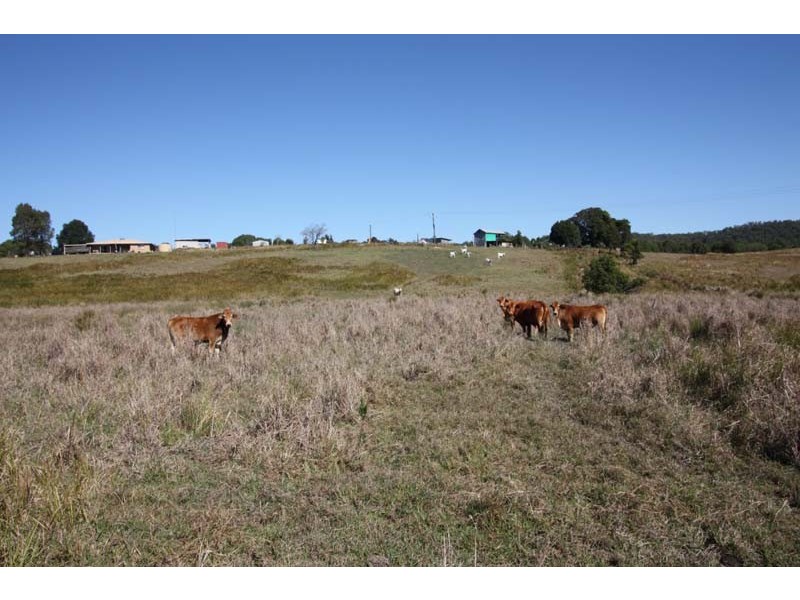 Mothar Mountain QLD 4570