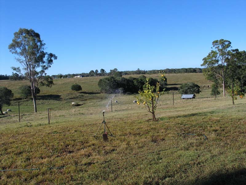 Bauple QLD 4650