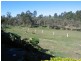 Bauple QLD 4650