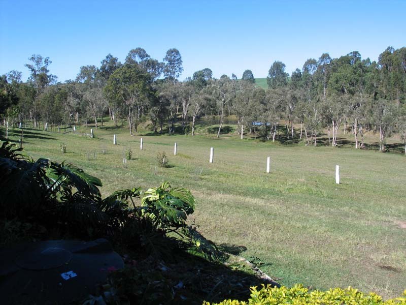 Bauple QLD 4650