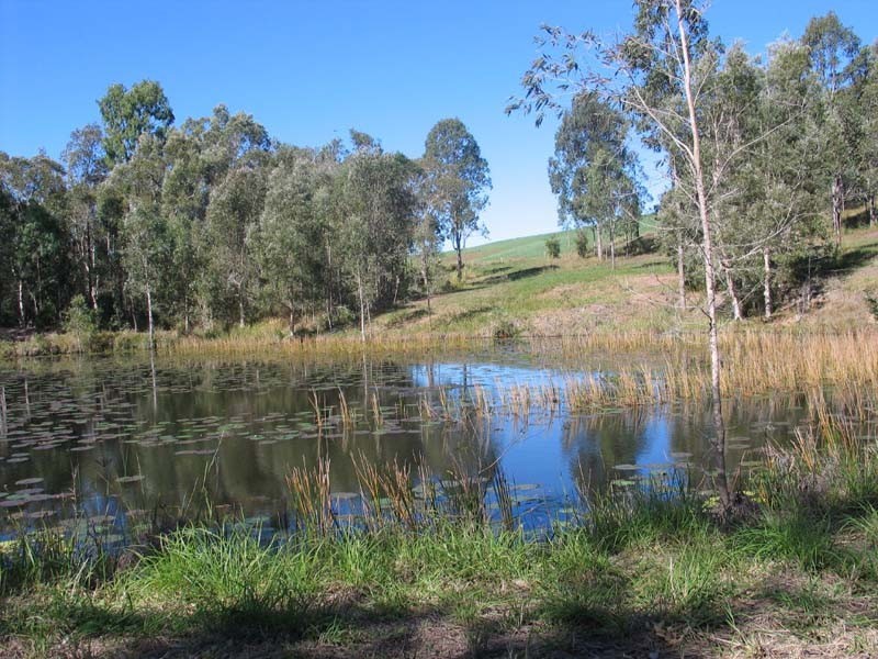 Bauple QLD 4650