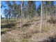 Bauple QLD 4650