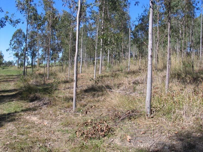 Bauple QLD 4650