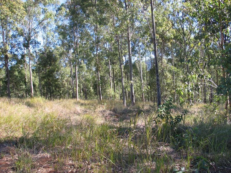 Bauple QLD 4650