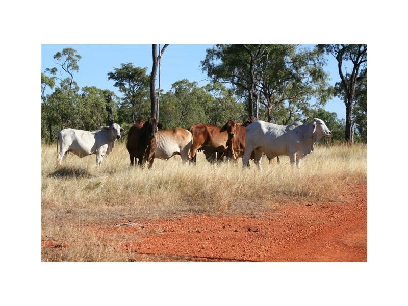 Mareeba QLD 4880