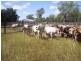 Mareeba QLD 4880