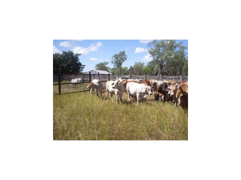 Mareeba QLD 4880