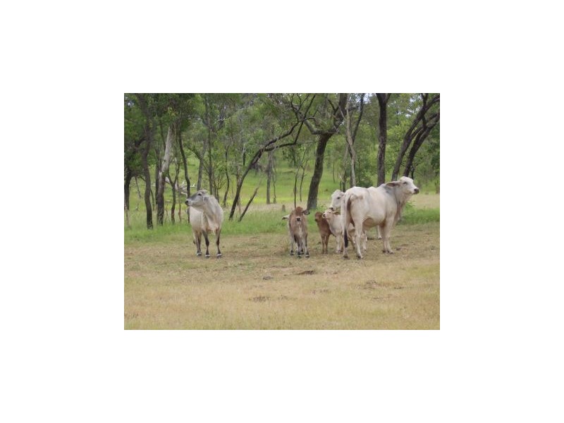 Mareeba QLD 4880