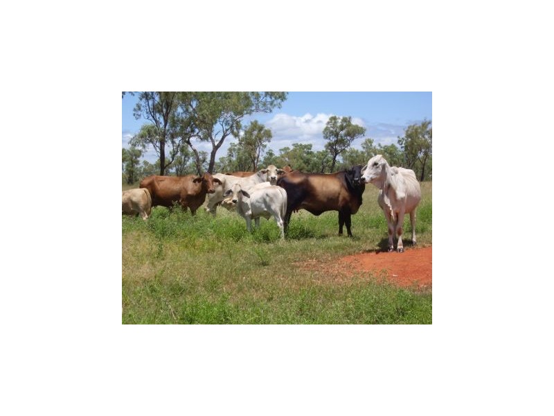 Mareeba QLD 4880