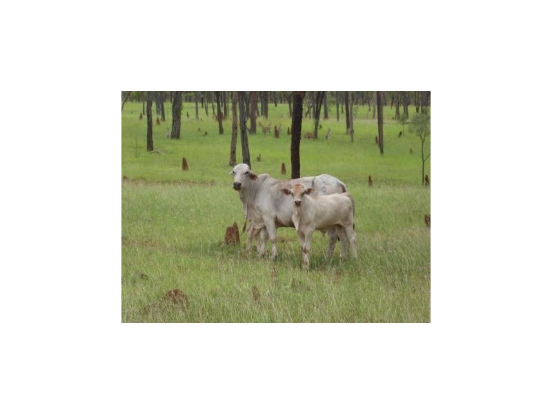 Mareeba QLD 4880