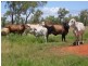 Mareeba QLD 4880