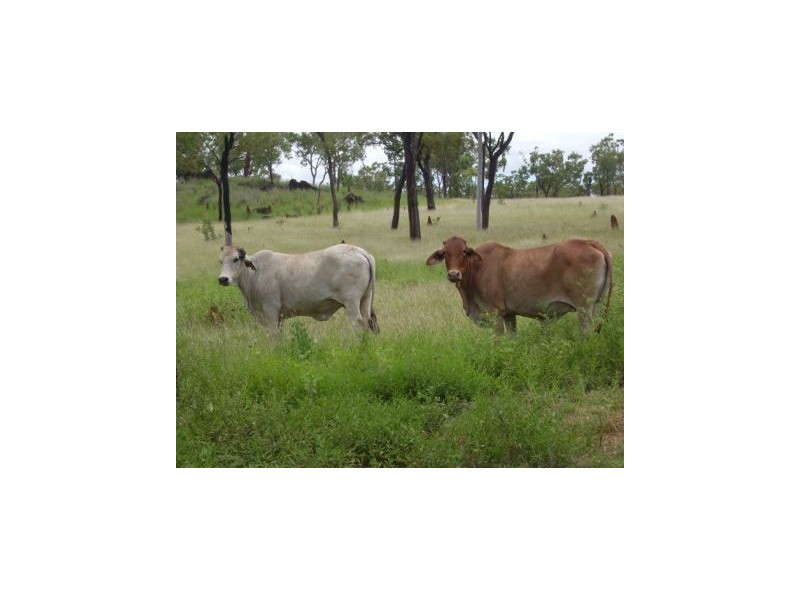Mareeba QLD 4880