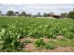 Murgon QLD 4605