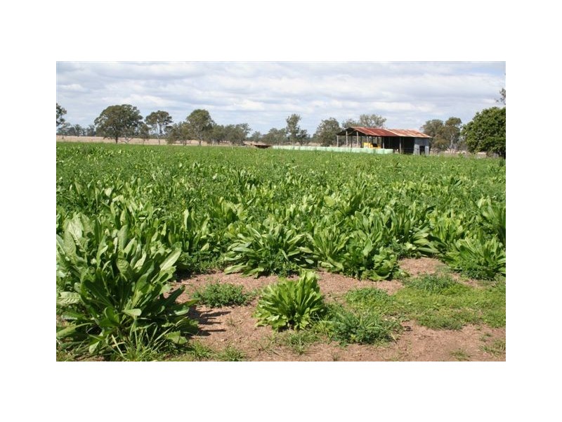 Murgon QLD 4605