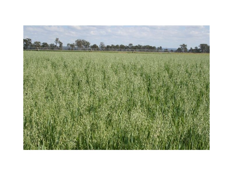Murgon QLD 4605
