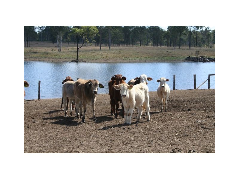 Murgon QLD 4605