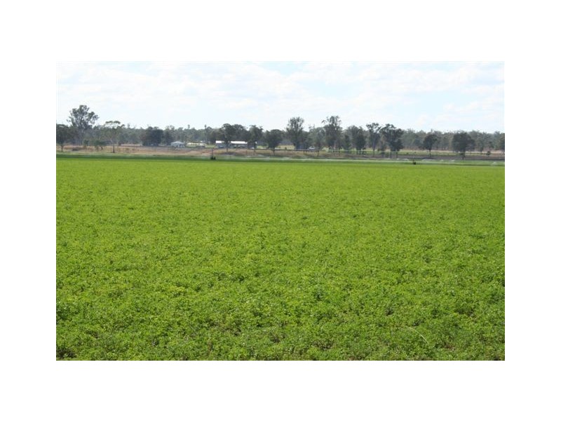 Murgon QLD 4605