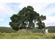 Lower Wonga QLD 4570