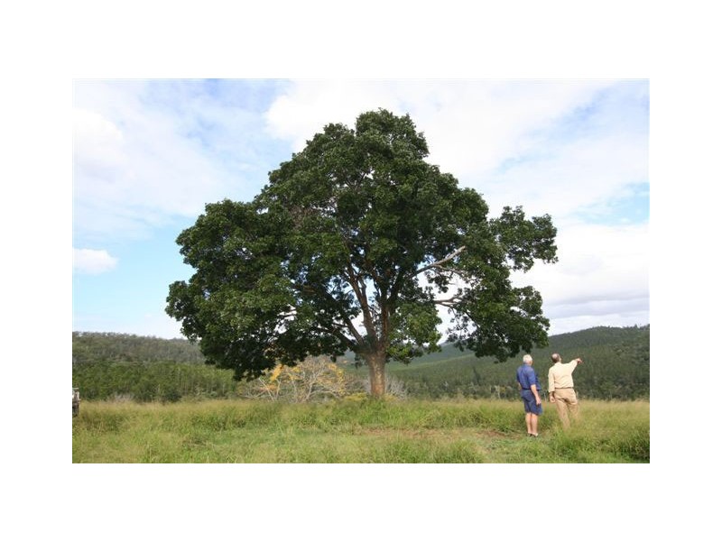 Lower Wonga QLD 4570