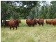 Lower Wonga QLD 4570