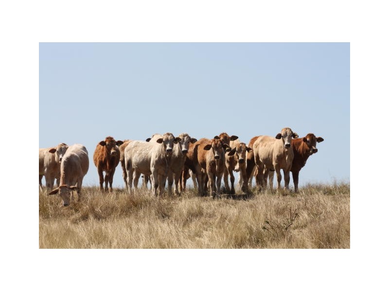 Lower Wonga QLD 4570