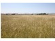 Lower Wonga QLD 4570