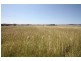 Lower Wonga QLD 4570