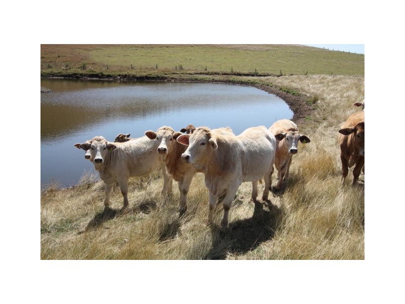 Lower Wonga QLD 4570