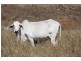 Lower Wonga QLD 4570
