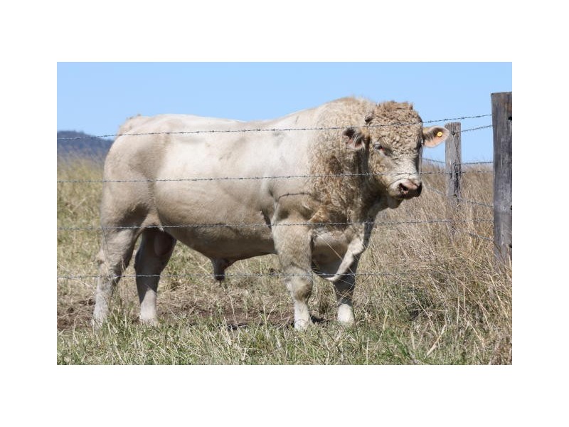 Lower Wonga QLD 4570