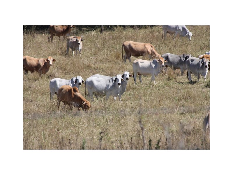 Lower Wonga QLD 4570