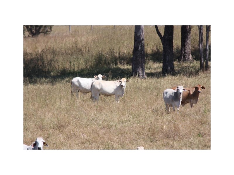 Lower Wonga QLD 4570