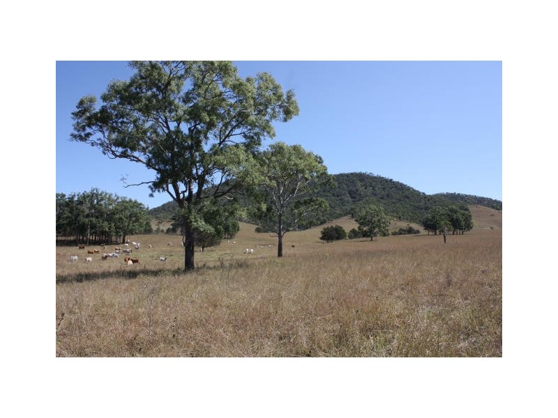 Lower Wonga QLD 4570