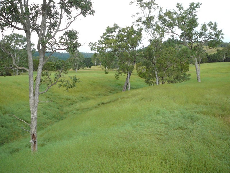 Lower Wonga QLD 4570