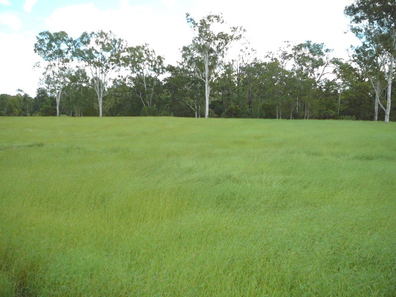 Lower Wonga QLD 4570