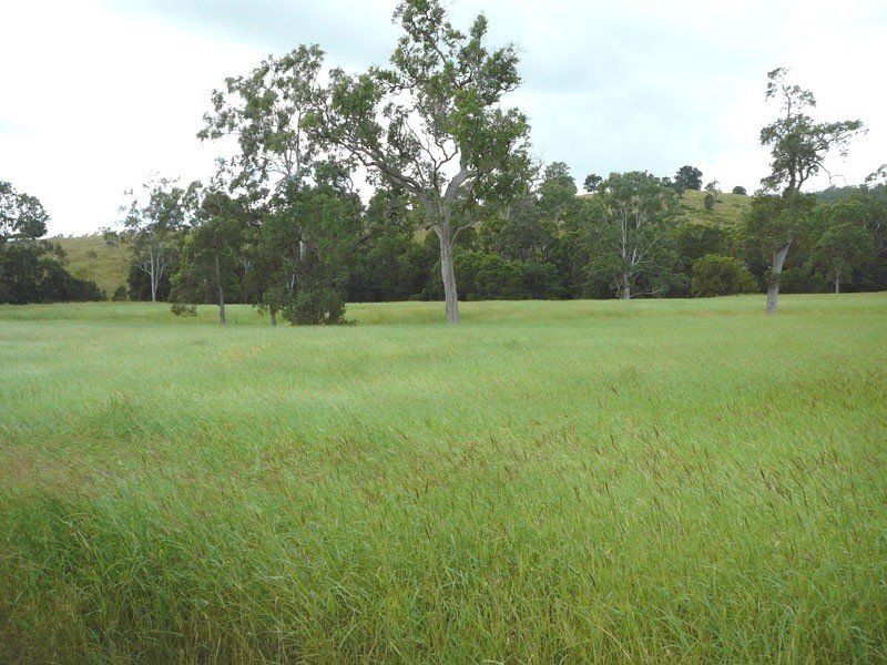 Lower Wonga QLD 4570