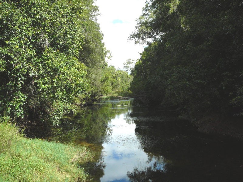 Lower Wonga QLD 4570