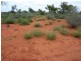 Eulo QLD 4491