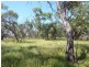 Eulo QLD 4491