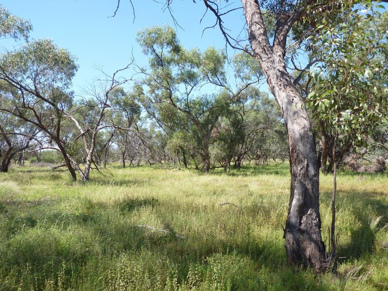 Eulo QLD 4491