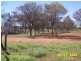 Eulo QLD 4491