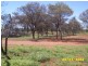 Eulo QLD 4491