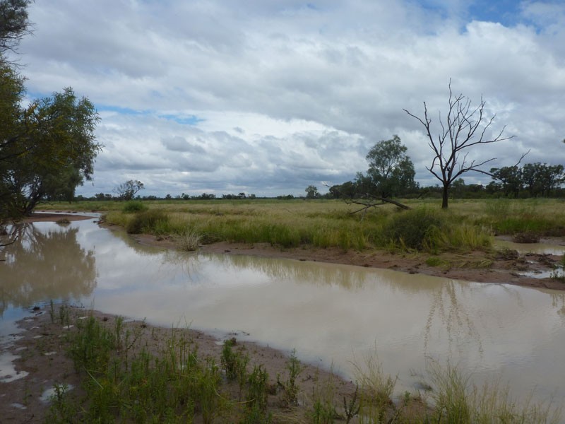 Eulo QLD 4491