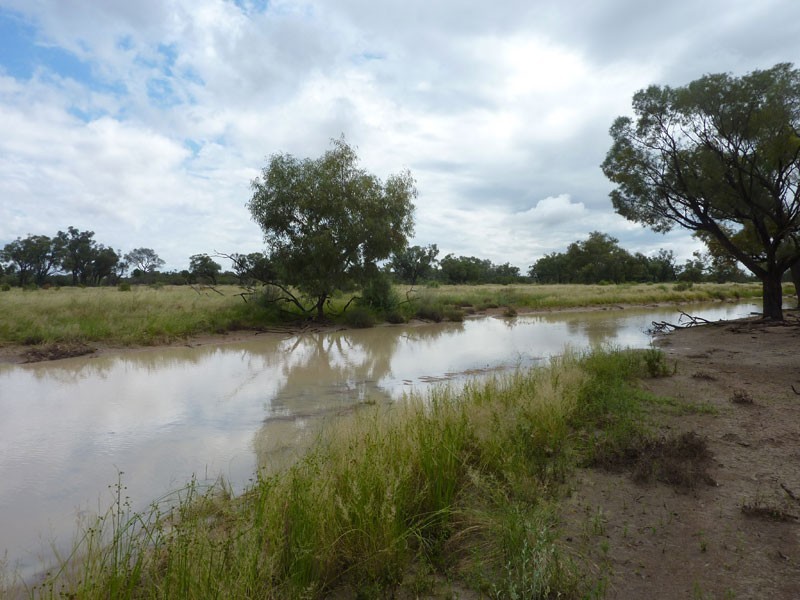 Eulo QLD 4491