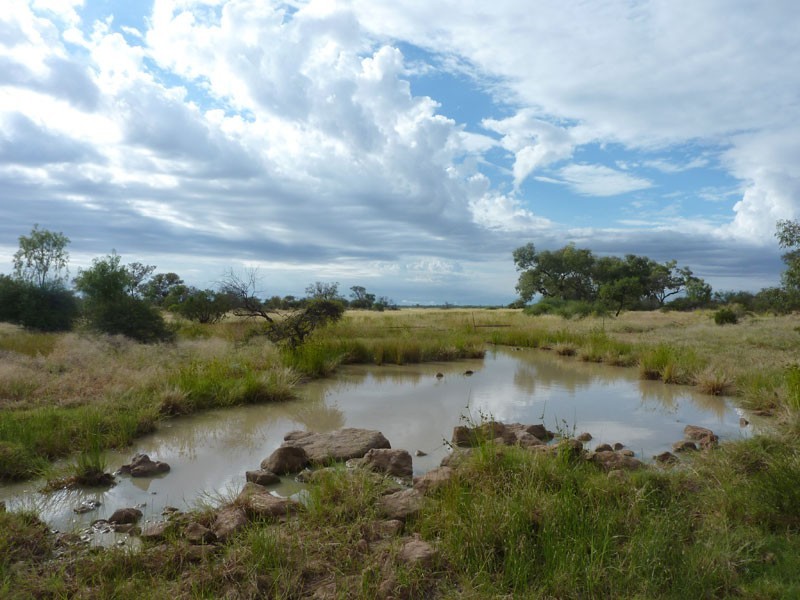 Eulo QLD 4491
